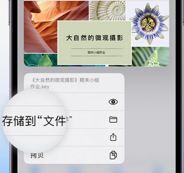 江安apple维修中心分享iPhone文件应用中存储和找到下载文件