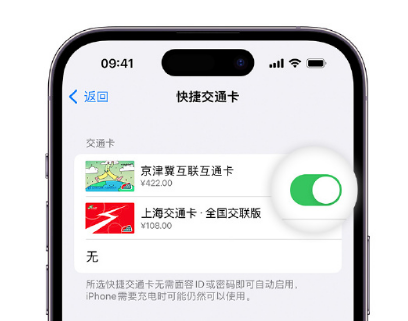 江安apple维修点分享iPhone上更换Apple Pay快捷交通卡手绘卡面 