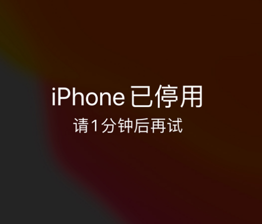 江安苹果手机维修分享:iPhone 显示“不可用”或“已停用”怎么办？还能保留数据吗？ 