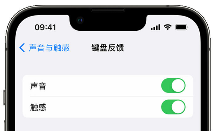 江安苹果手机维修分享iPhone 14触感键盘使用方法 