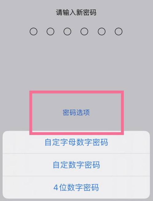 江安苹果14维修分享iPhone 14plus设置密码的方法 