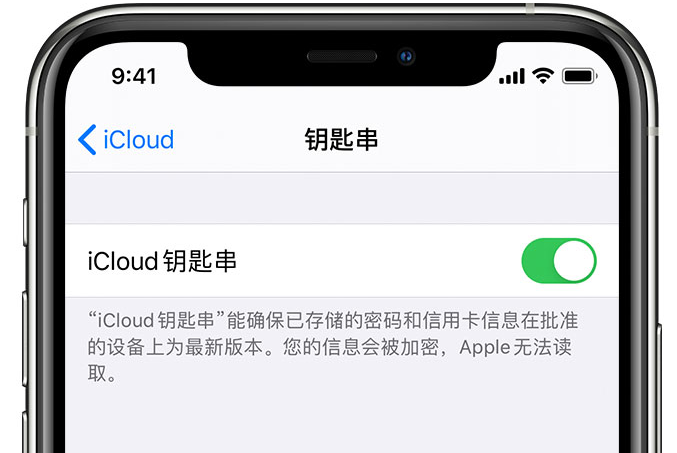 江安苹果手机维修分享在 iPhone 上开启 iCloud 钥匙串之后会储存哪些信息 