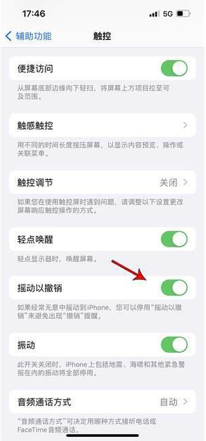 江安苹果手机维修分享iPhone手机如何设置摇一摇删除文字 